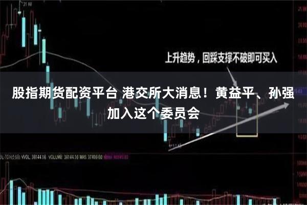 股指期货配资平台 港交所大消息!黄益平、孙强加入这个委员会