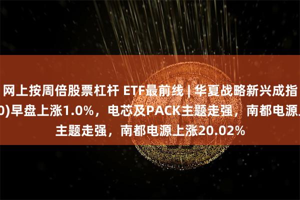网上按周倍股票杠杆 ETF最前线 | 华夏战略新兴成指ETF(512770)早盘上涨1.0%,电芯及PACK主题走强,南都电源上涨20.02%
