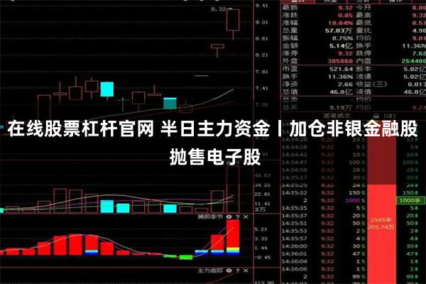 在线股票杠杆官网 半日主力资金丨加仓非银金融股 抛售电子股