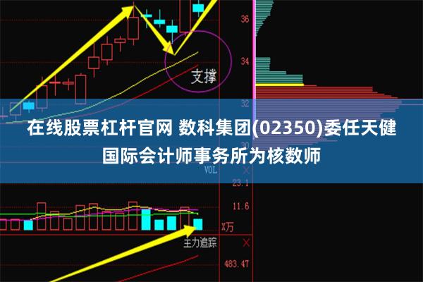 在线股票杠杆官网 数科集团(02350)委任天健国际会计师事务所为核数师
