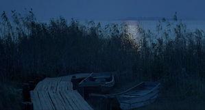 摇啊笑啊桥图片,共度美好时光