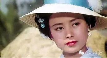 陕西网红张瑜,从田间地头到网络红人的蜕变之路